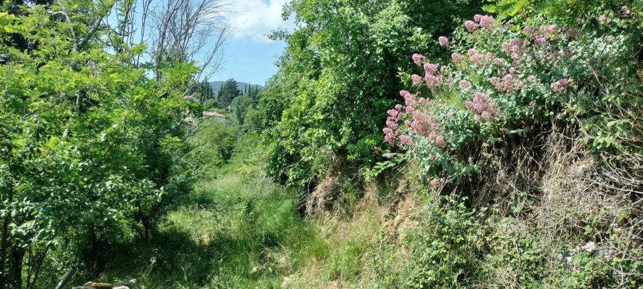 Holiday home La Bergerie D'annie Privas